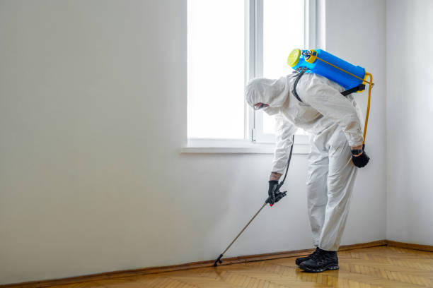 Best Emergency Pest Control  in Pennington, NJ